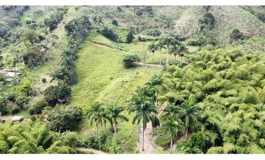 Estupendo lote para la venta por Combia via a Marsella