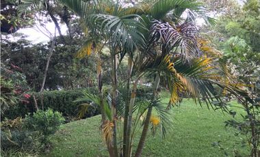 FINCA GUARNE VEREDA LA PASTORCITA A 5 MINUTOS DE LA AUTOPISTA AMOBLADA