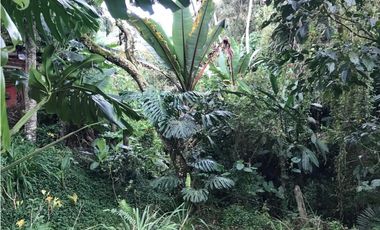 FINCA GUARNE VEREDA LA PASTORCITA A 5 MINUTOS DE LA AUTOPISTA AMOBLADA