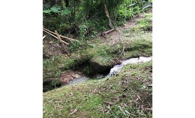 FINCA GUARNE VEREDA LA PASTORCITA A 5 MINUTOS DE LA AUTOPISTA AMOBLADA