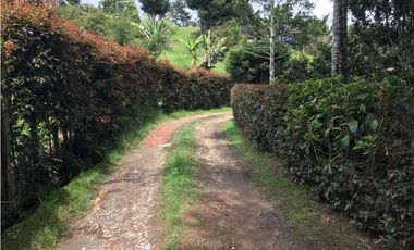 FINCA GUARNE VEREDA LA PASTORCITA A 5 MINUTOS DE LA AUTOPISTA AMOBLADA