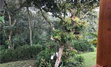 FINCA GUARNE VEREDA LA PASTORCITA A 5 MINUTOS DE LA AUTOPISTA AMOBLADA