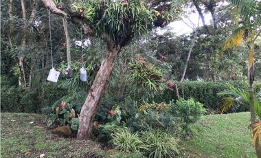 FINCA GUARNE VEREDA LA PASTORCITA A 5 MINUTOS DE LA AUTOPISTA AMOBLADA