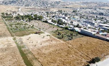 Invierte en Grande en Tijuana: 5.7 Hectáreas Listas para Desarrollar tu Visión