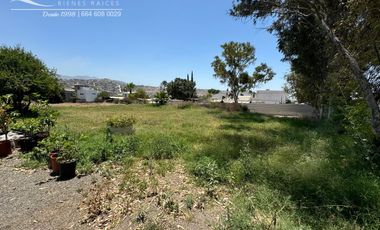 Invierte en Grande en Tijuana: 5.7 Hectáreas Listas para Desarrollar tu Visión