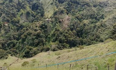 SE VENDE FINCA EN GOMEZ PLATA