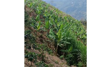 SE VENDE FINCA EN GOMEZ PLATA