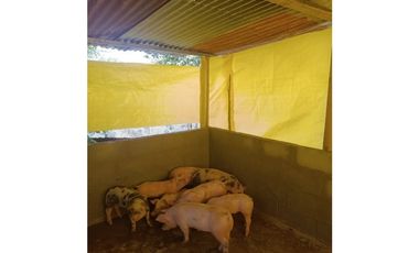 SE VENDE FINCA EN GOMEZ PLATA