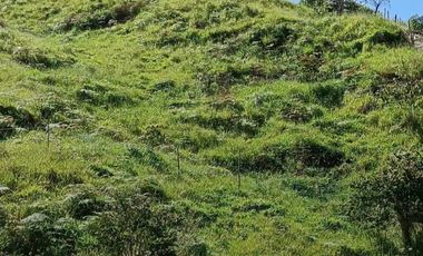 SE VENDE FINCA EN GOMEZ PLATA