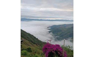 SE VENDE FINCA EN GOMEZ PLATA