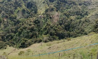 SE VENDE FINCA EN GOMEZ PLATA