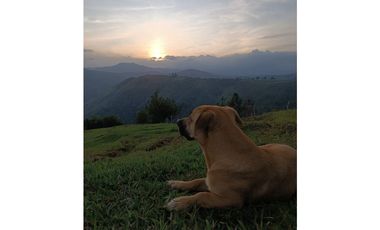 SE VENDE FINCA EN GOMEZ PLATA