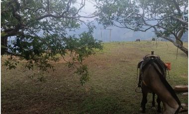 SE VENDE FINCA EN GOMEZ PLATA