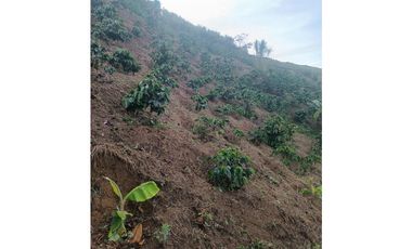 SE VENDE FINCA EN GOMEZ PLATA