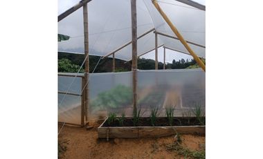 SE VENDE FINCA EN GOMEZ PLATA