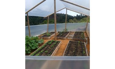 SE VENDE FINCA EN GOMEZ PLATA