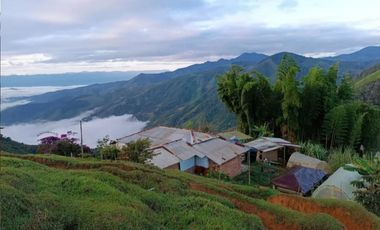 SE VENDE FINCA EN GOMEZ PLATA