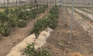 Bodega en Renta, Cuautitlán, 450m2