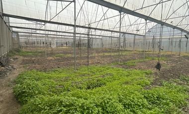 Bodega en Renta, Cuautitlán, 450m2