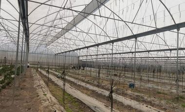Bodega en Renta, Cuautitlán, 450m2