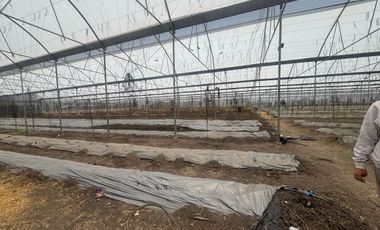 Bodega en Renta, Cuautitlán, 450m2