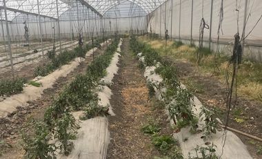 Bodega en Renta, Cuautitlán, 450m2