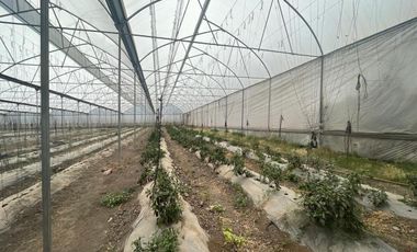 Bodega en Renta, Cuautitlán, 450m2