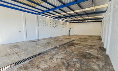 Nave Industrial · Av. Niños Héroes · 300M2 · Región 240 · Bodega · Esquina