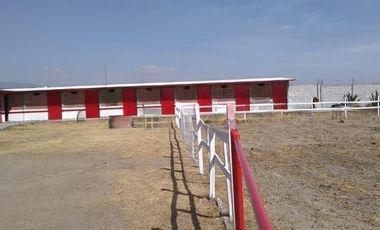 Terreno en renta en AIFA  , Tizayuca