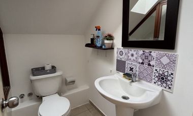 LOS HELECHOS, LOMAS COLORADAS