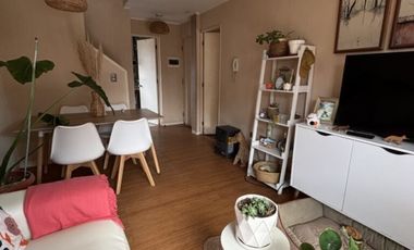 LOS HELECHOS, LOMAS COLORADAS