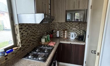 LOS HELECHOS, LOMAS COLORADAS