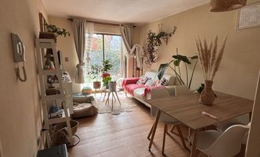 LOS HELECHOS, LOMAS COLORADAS