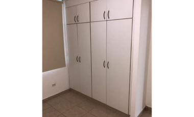 Apartamento En Alquiler A Pasos de Via Argentina | PH Cangrejo 507