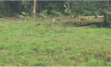 VENTA DE FINCA EN BUGABA 1,407 METROS