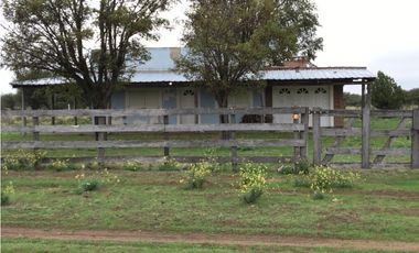VENDO CAMPO DE 2010 HECTAREAS SOBRE RUTA 152 PROXIMO A GENERAL ACHA