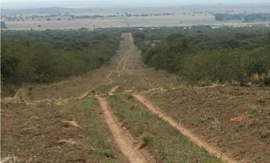 VENDO CAMPO DE 2010 HECTAREAS SOBRE RUTA 152 PROXIMO A GENERAL ACHA