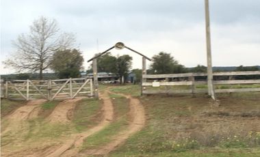 VENDO CAMPO DE 2010 HECTAREAS SOBRE RUTA 152 PROXIMO A GENERAL ACHA