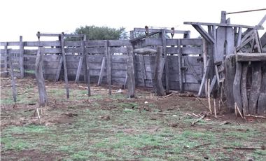 VENDO CAMPO DE 2010 HECTAREAS SOBRE RUTA 152 PROXIMO A GENERAL ACHA