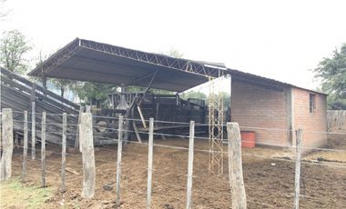 VENDO CAMPO DE 2010 HECTAREAS SOBRE RUTA 152 PROXIMO A GENERAL ACHA