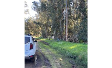 terreno Necochea calle 199 entre 66 y 64