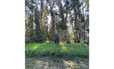 terreno Necochea calle 199 entre 66 y 64