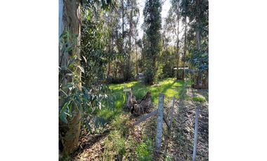 terreno Necochea calle 199 entre 66 y 64