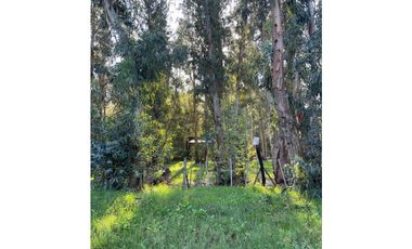 terreno Necochea calle 199 entre 66 y 64