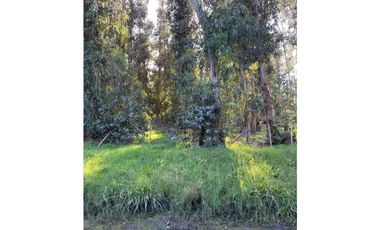 terreno Necochea calle 199 entre 66 y 64