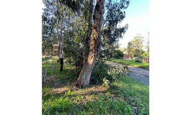 terreno Necochea calle 199 entre 66 y 64