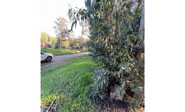 terreno Necochea calle 199 entre 66 y 64