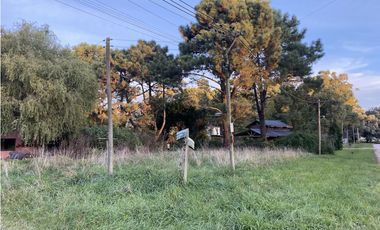 Lote/ Terreno en La Caleta