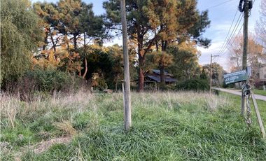 Lote/ Terreno en La Caleta