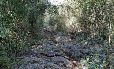 Terreno con cenote en Venta en XTUT, Valladolid Yucatán